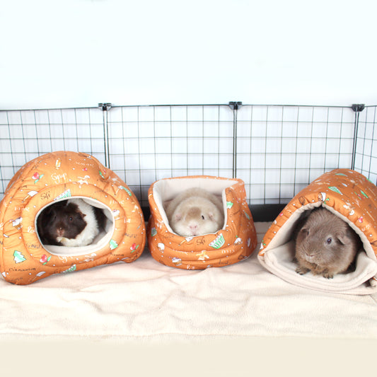 Gingerbread Guinea Pig Accessory Bundle