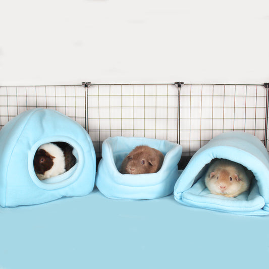 Baby Blue Guinea Pig Accessory Bundle