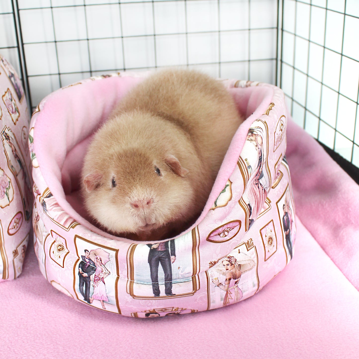 Pink Art Deco Guinea Pig Accessory Bundle