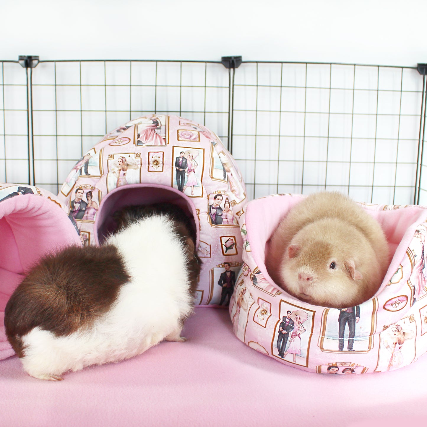 Pink Art Deco Guinea Pig Accessory Bundle
