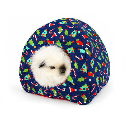 Swiss Roll the fluffy white guinea pig sitting inside a blue Christmas hidey house with a cosy red anti-pill fleece lining