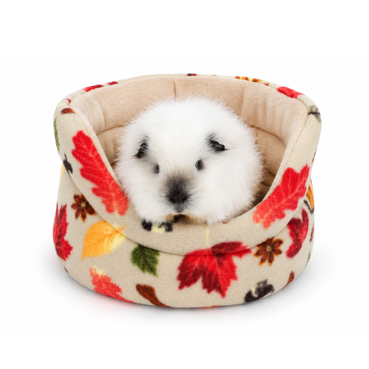 Guinea pig relaxing in an Autumn Beige Cuddle Cup Bed with autumn leaves and pumpkins