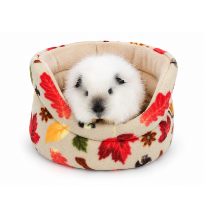 Guinea pig relaxing in an Autumn Beige Cuddle Cup Bed with autumn leaves and pumpkins