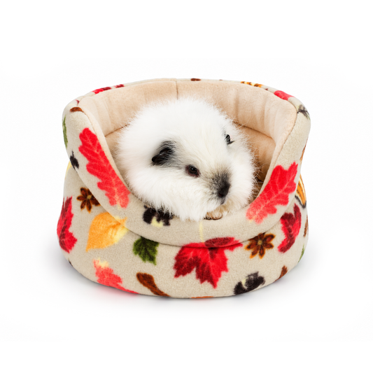 Guinea pig sitting in an Autumn Beige Cuddle Cup with pumpkin and leaf fleece print