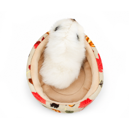 Autumn Beige Guinea Pig Accessory Bundle Deal