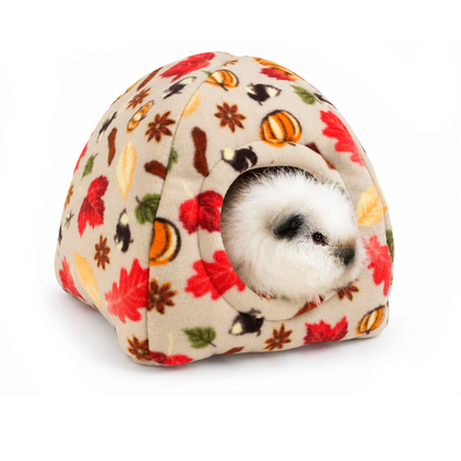 Guinea pig inside an Autumn Beige Hidey House with pumpkins and autumn leaves
