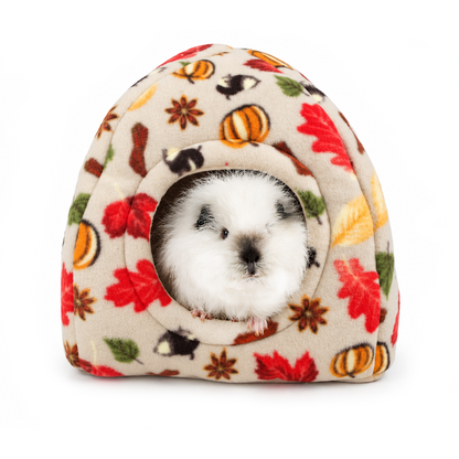 Autumn Beige Guinea Pig Accessory Bundle Deal
