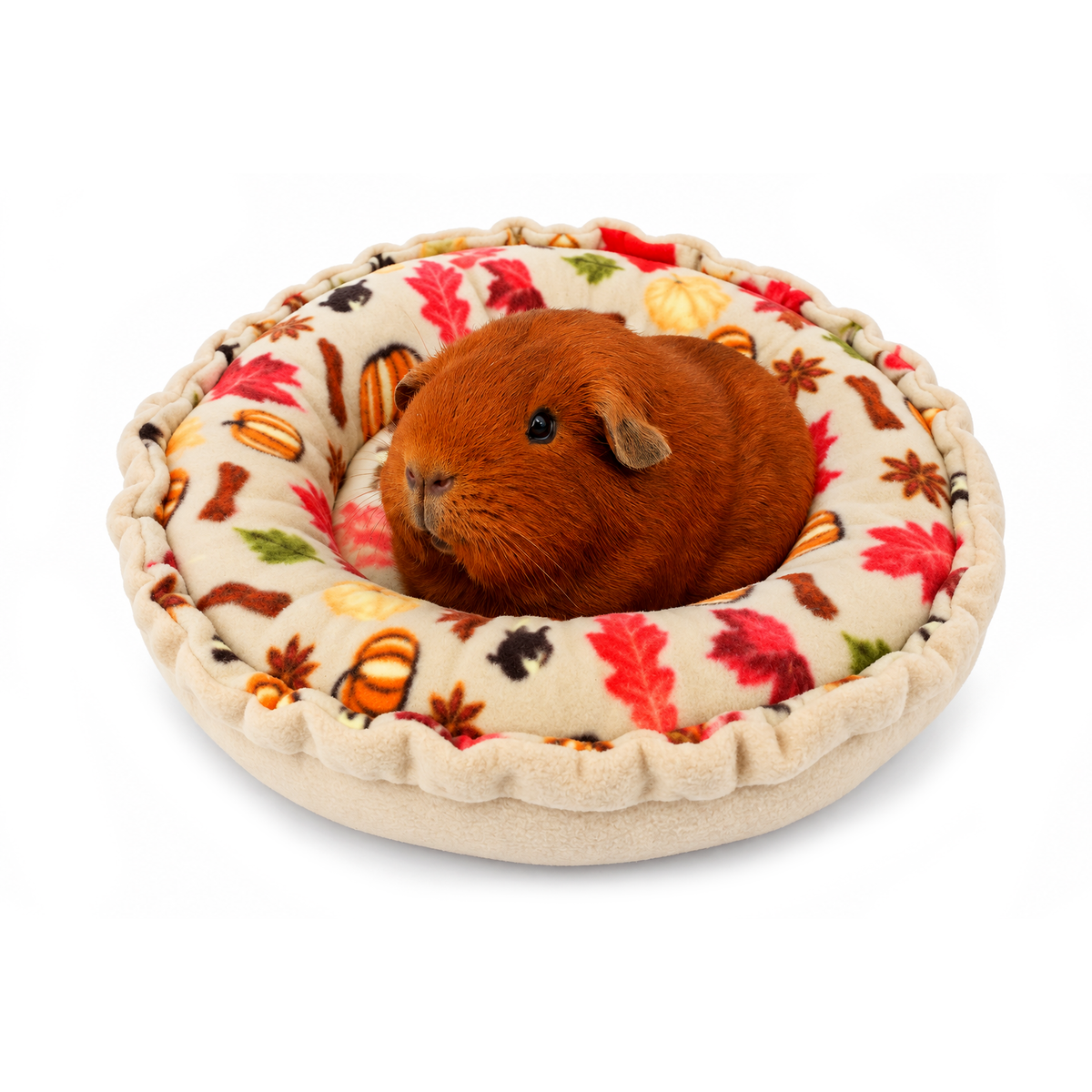 Guinea pig relaxing in an Autumn Beige Doughnut Bed with pumpkins and autumn leaves