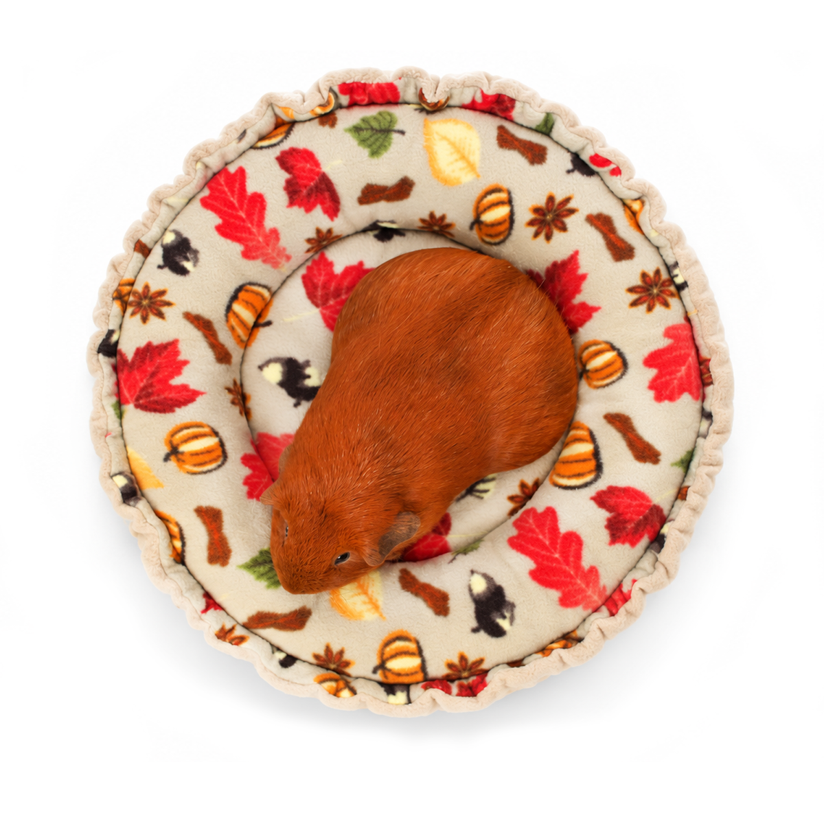 Guinea pig snuggled in an Autumn Beige fleece Doughnut Bed