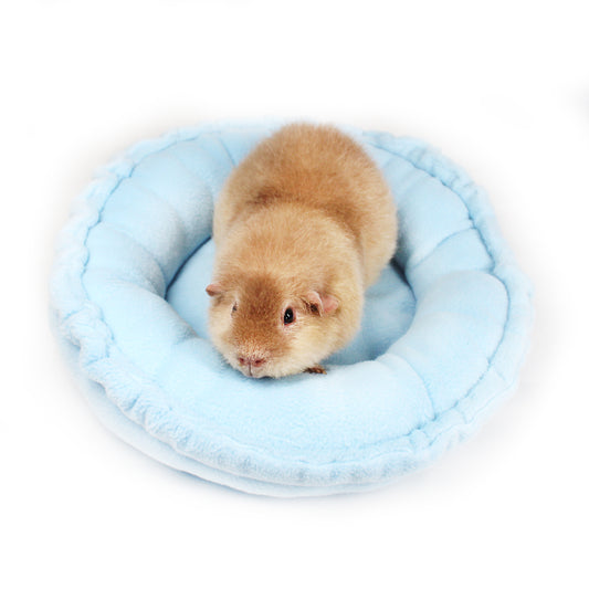 Baby Blue Doughnut bed for Guinea Pigs