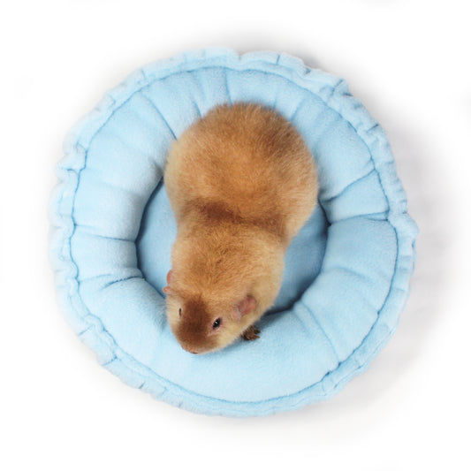 Baby Blue Doughnut bed for Guinea Pigs