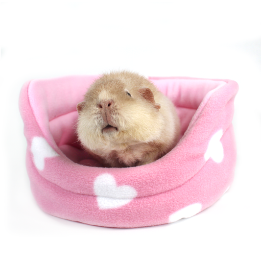 Valentine's Day Cuddle Cup Bed