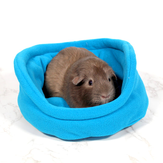 Azure Blue Bed for Guinea Pigs, front view with guinea pig