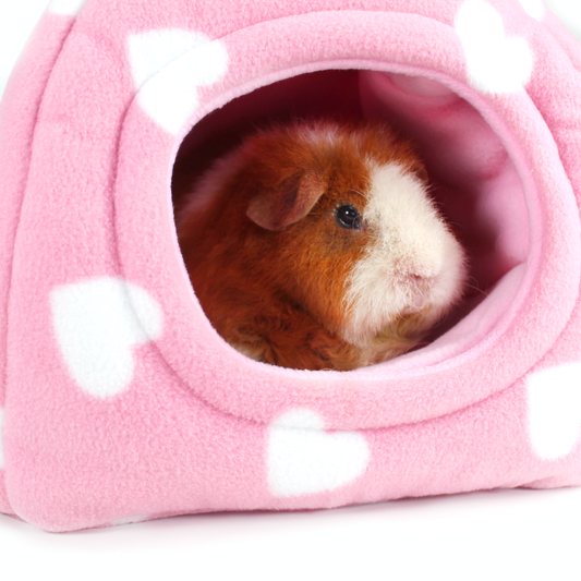 Valentines Day Guinea Pig Hidey House