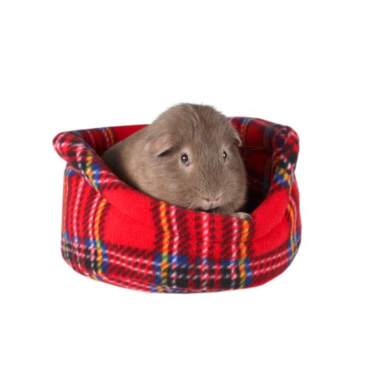 Red Tartan Guinea Pig Cuddle Cup, front side view with guinea pig