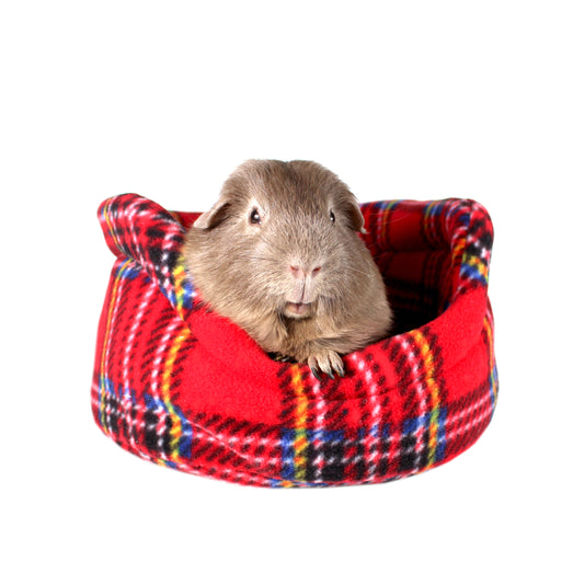Red Tartan Guinea Pig Cuddle Cup, front view with guinea pig