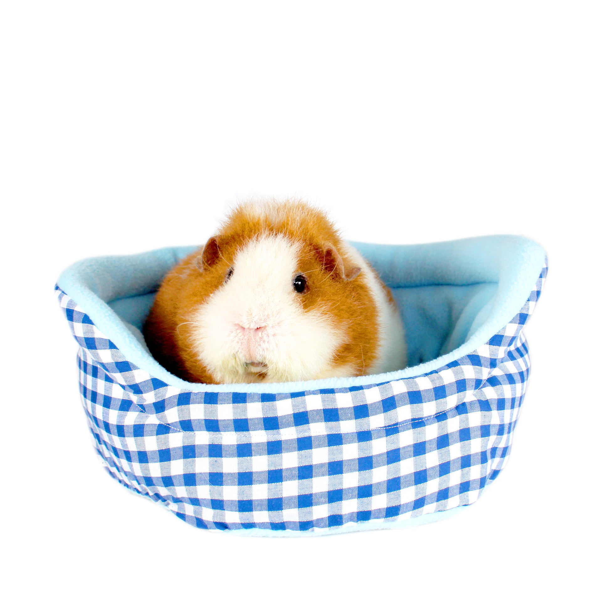 Blue Gingham Bed for Guinea Pigs, alternative front view with Guinea pig