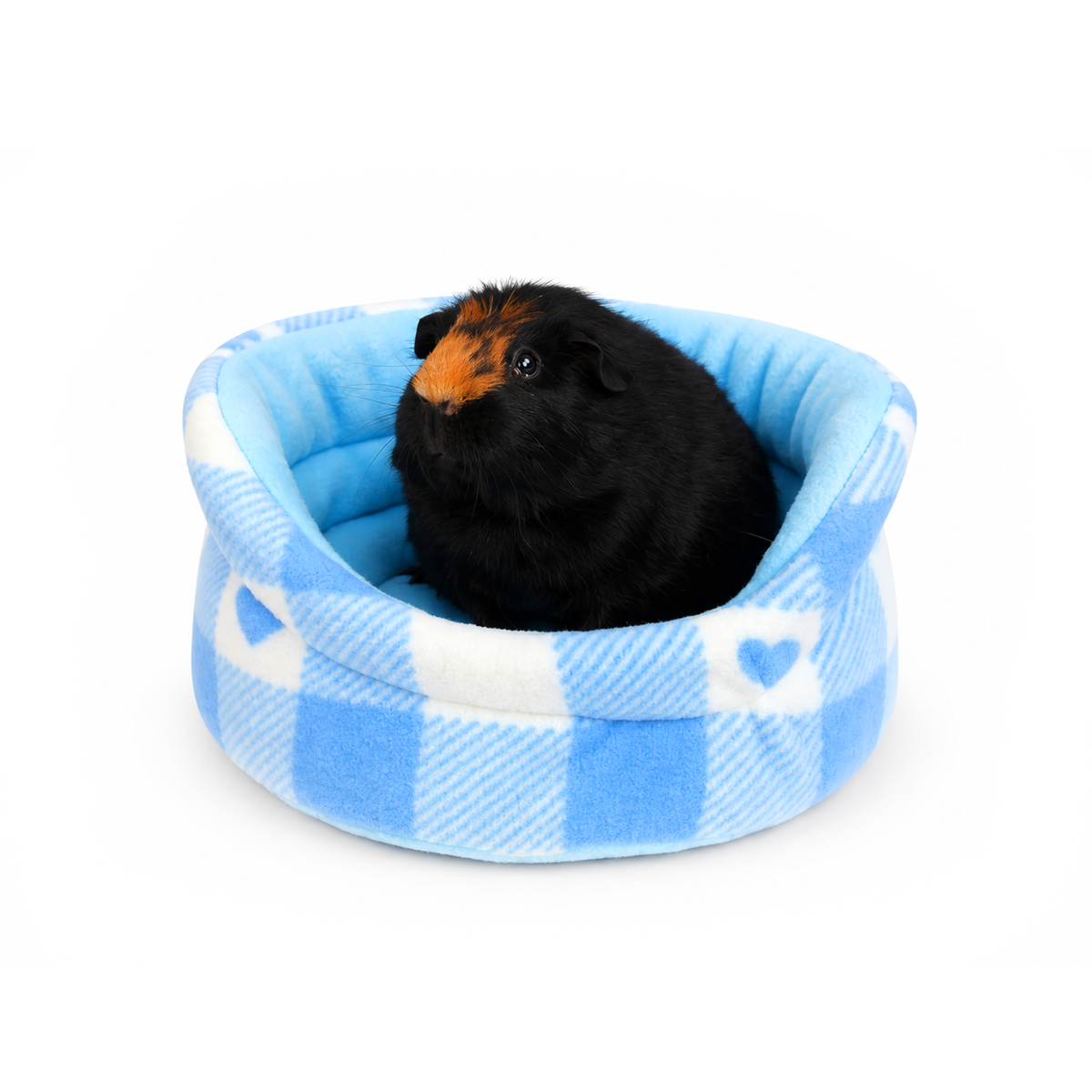 Blue Hearts Gingham cuddle cup bed for guinea pigs with guinea pig inside