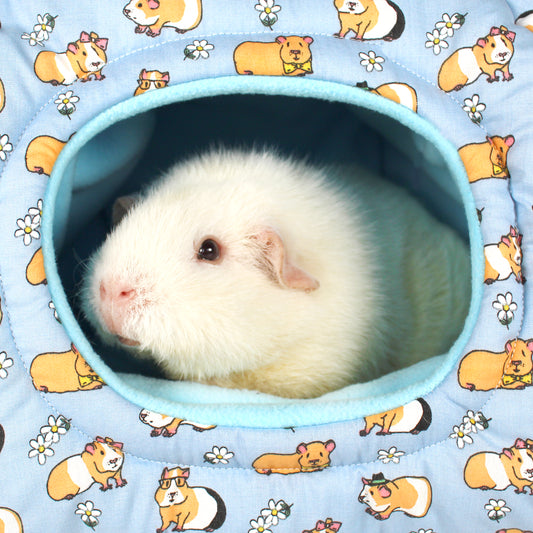 Blue Guinea Pig Pattern Hidey Hut, close up front view showing the opening with guinea pig