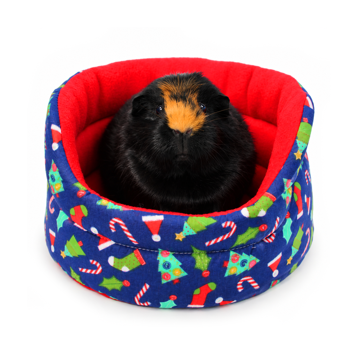 Blue Christmas novelty cuddle cup bed for guinea pigs featuring a festive cotton outer with Christmas trees, stockings, candy canes, holly and Santa hats, red anti-pill fleece lining and Olive modelling the bed