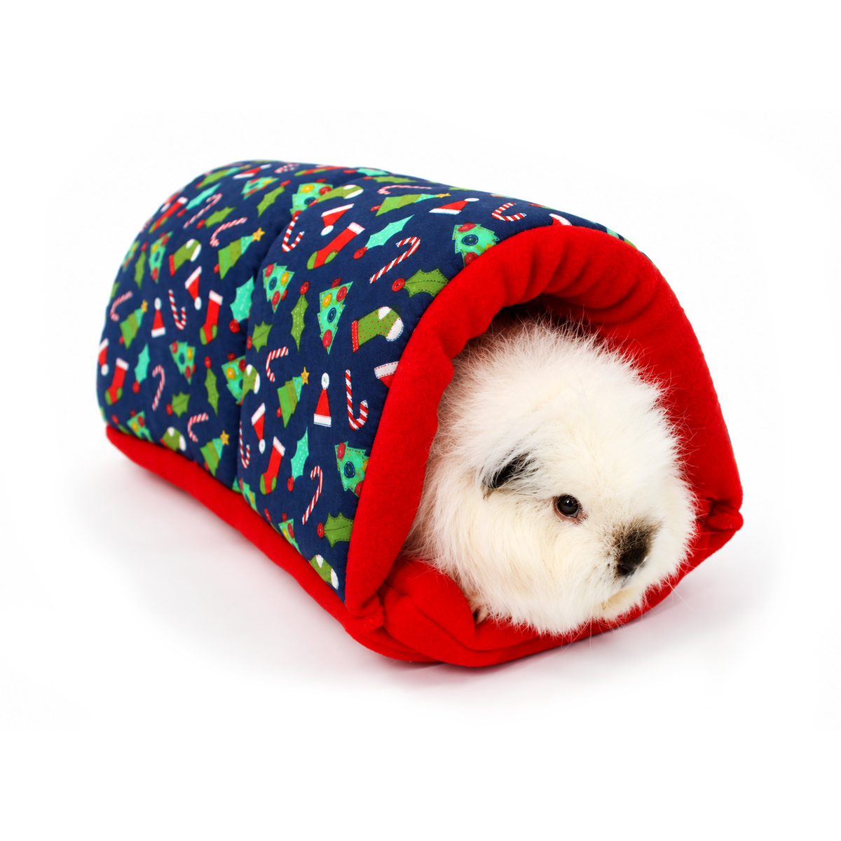 Blue Christmas Novelty Guinea Pig Accessory Bundle Deal