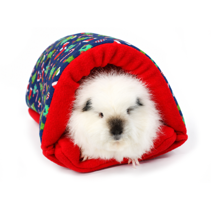 Blue Christmas Novelty Guinea Pig Accessory Bundle Deal