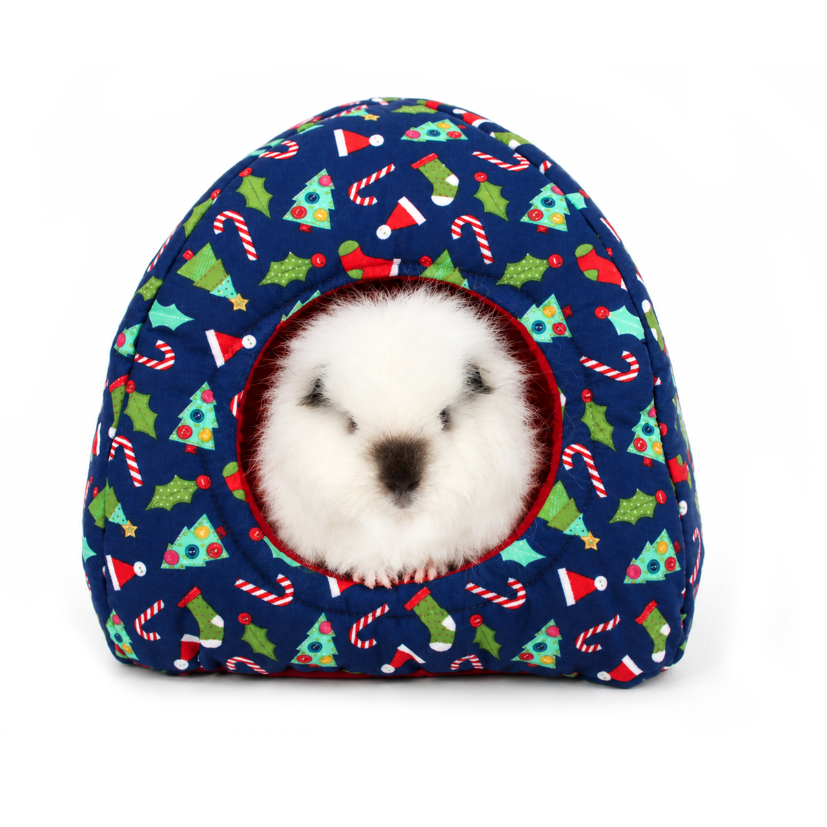 Blue Christmas novelty hidey house for guinea pigs featuring festive cotton with Christmas trees, candy canes, stockings and holly, with Swiss Roll peeking through the red fleece-lined entrance