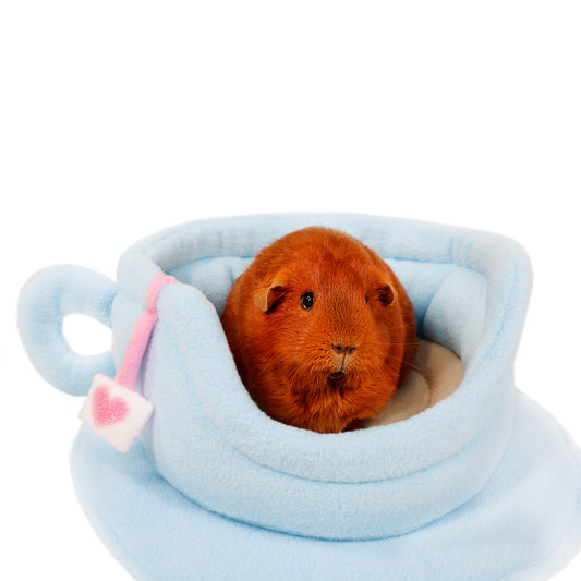 Red guinea pig inside a blue plush cup-shaped bed on a white background