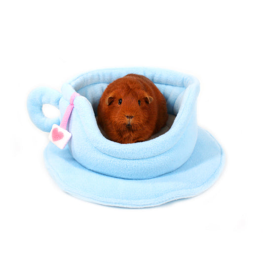 Small brown guinea pig inside a blue teacup shaped pet bed on a white background