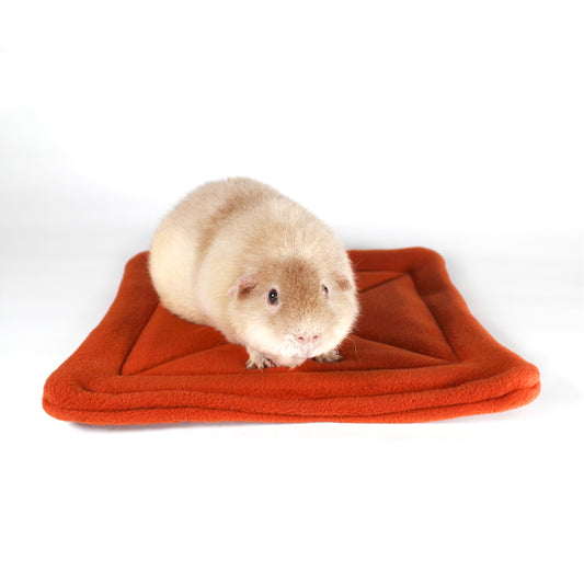 Large Square Rust Coloured Pee Pad for Guinea Pigs, front view with teddy guinea pig on the wee wee matt 