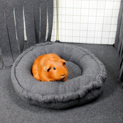 Orange guinea pig on a gray pet bed in a cage with a white grid background