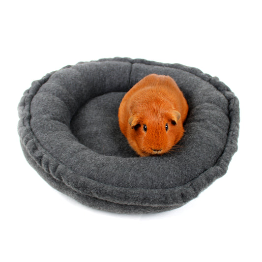 Small orange guinea pig inside a gray pet bed on a white background