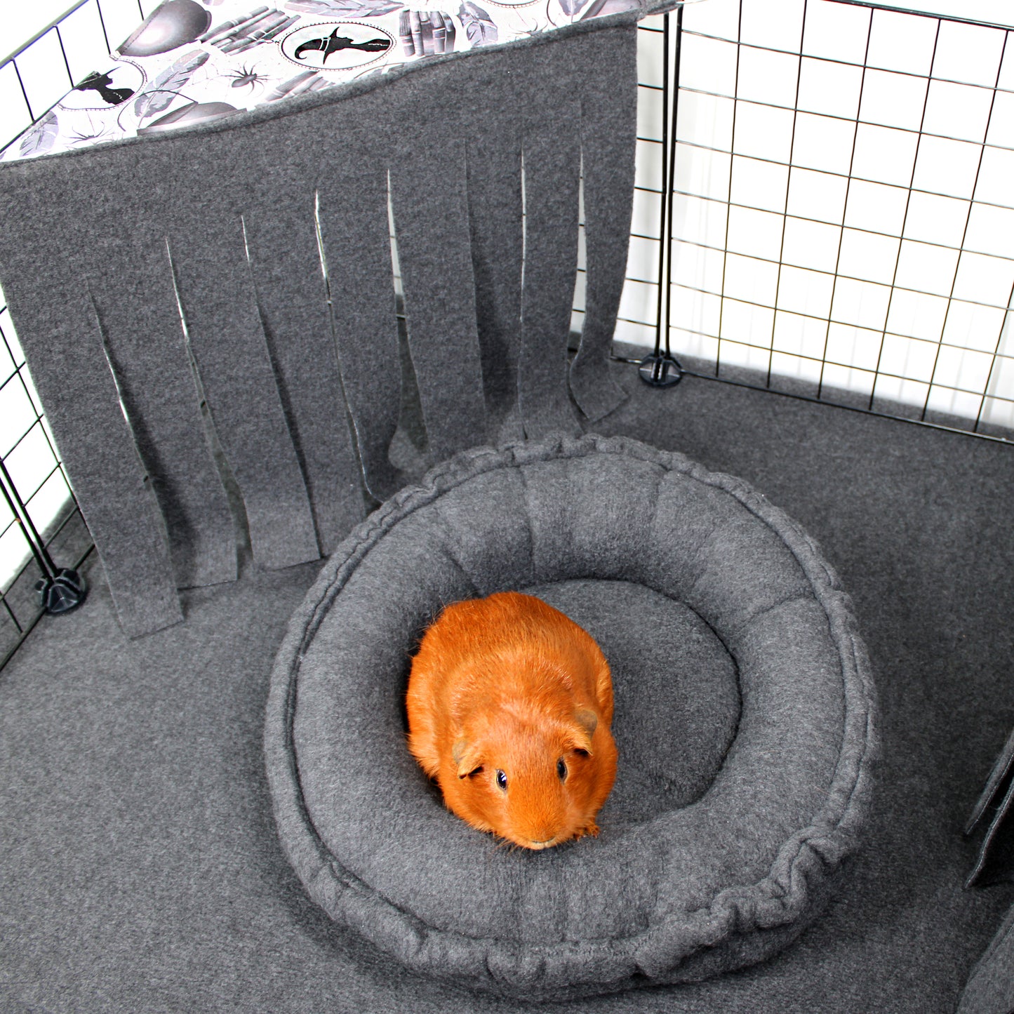 Orange guinea pig on a gray pet bed inside a wire cage with a blanket.