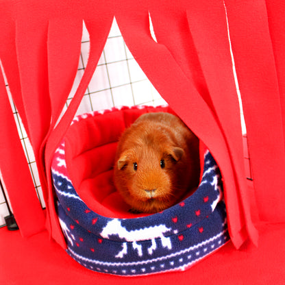 Guinea pig inside a red pet tent with a blue and white patterned base