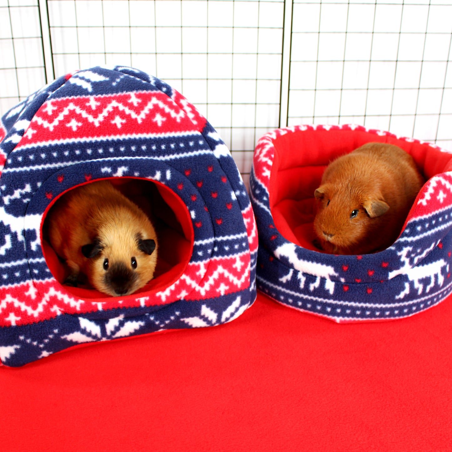 Two small animals in red and blue patterned pet houses on a red surface.