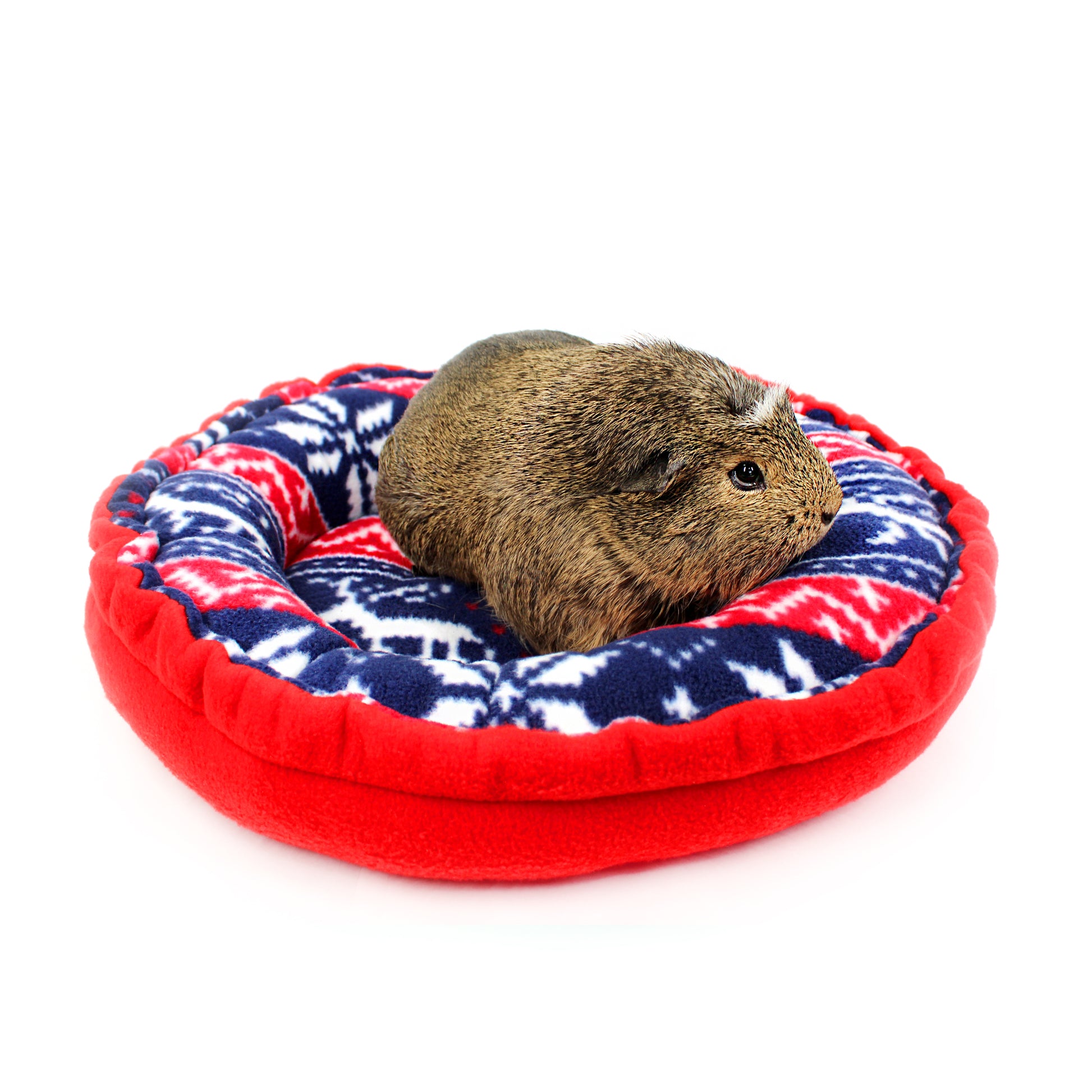 Small animal, likely a guinea pig, on a red and blue patterned pet bed against a white background
