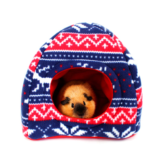 Small guinea pig peeking out from a blue and red patterned pet house on a white background
