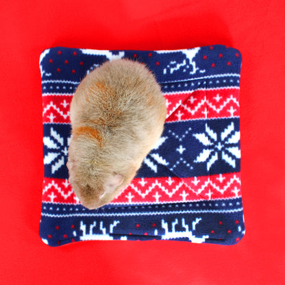 Small rodent on a blue and red patterned pillow against a red background