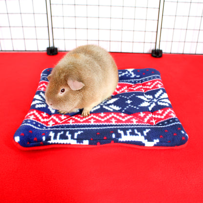 Guinea pig on a red, white, and blue patterned blanket inside a cage.