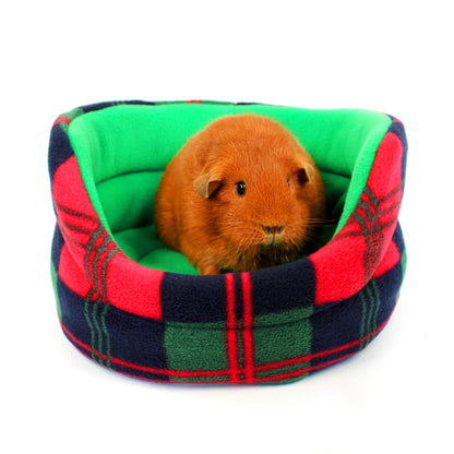 Guinea pig inside a tartan-patterned pet bed on a white background