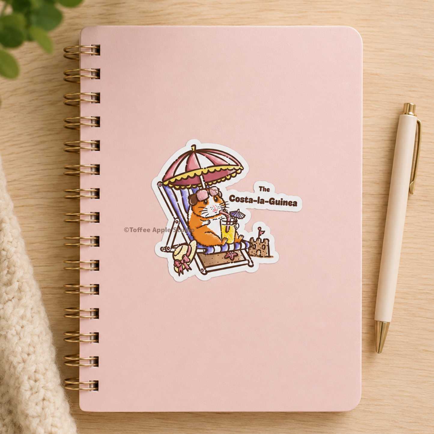 Costa-la-Guinea White Vinyl Guinea Pig Sticker