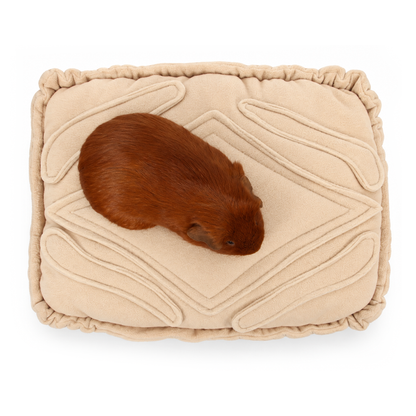 Guinea pig Jaffa modelling the Custard Cream cushion bed