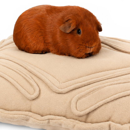 Guinea pig Jaffa relaxing on the Custard Cream cushion bed