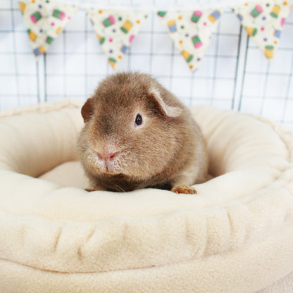 Beige Doughnut Bed for Guinea Pigs