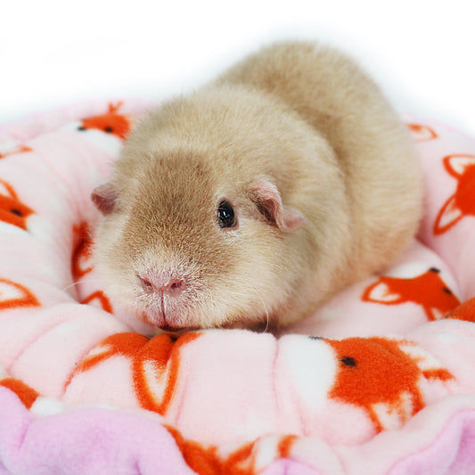 Foxy Fleece Doughnut Bed