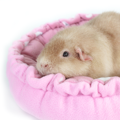 Valentine's Day Doughnut Bed for Guinea Pigs