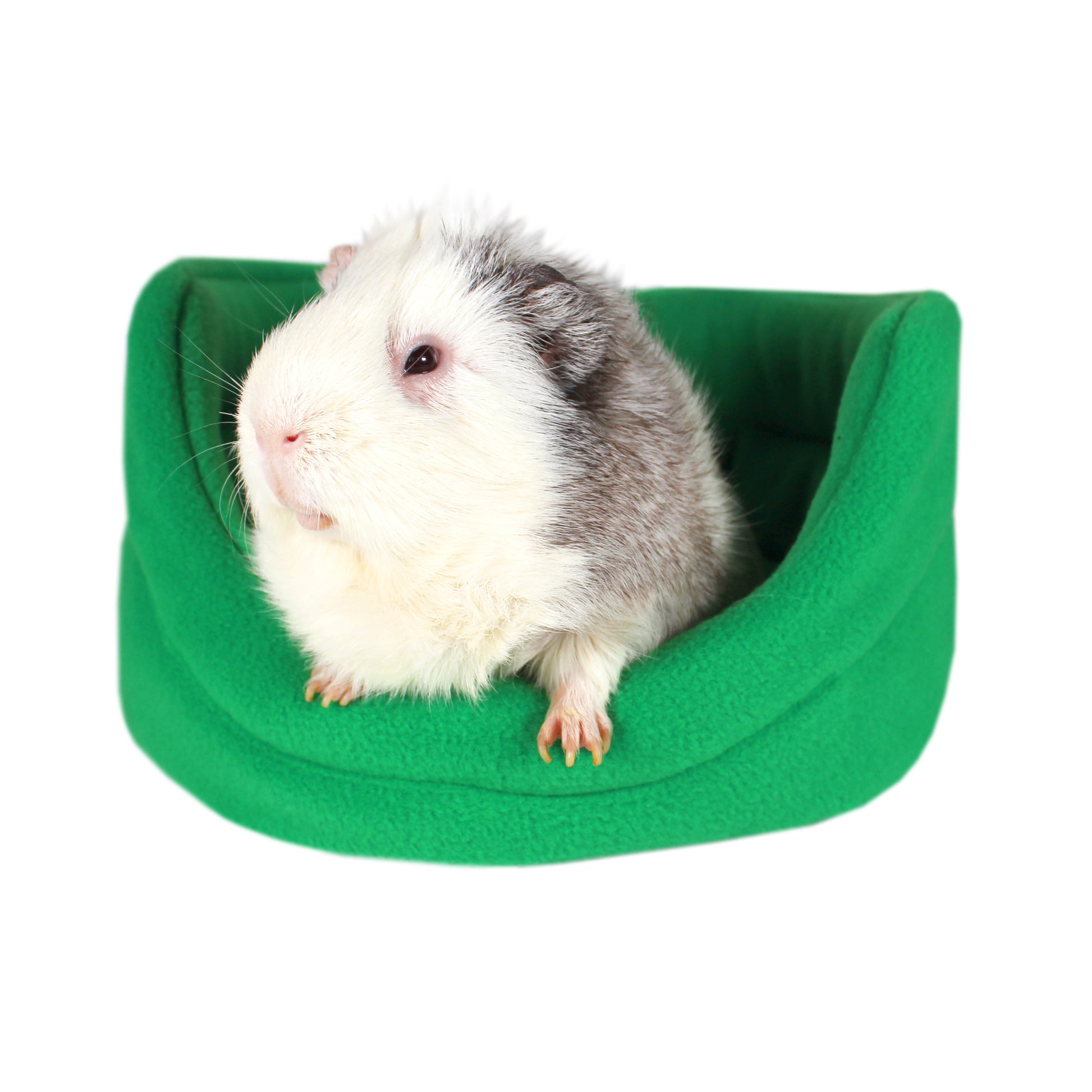 Emerald Green Guinea Pig Bed, front view of the cuddle cup bed with a happy guinea pig modelling the bed