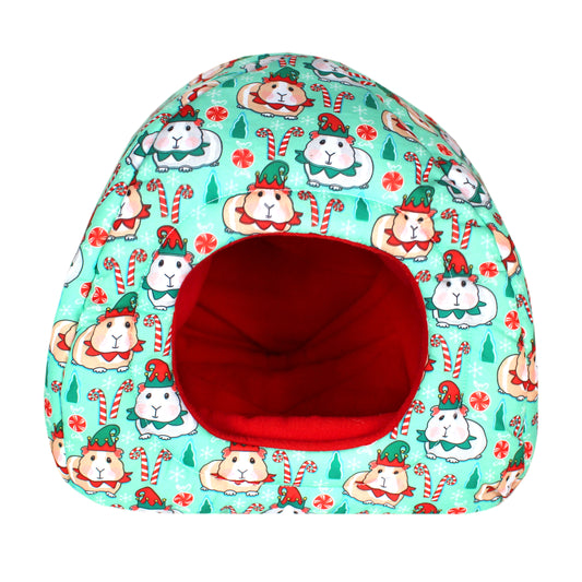 Festive Guinea Pig Design Hidey House for Guinea Pigs, front view empty