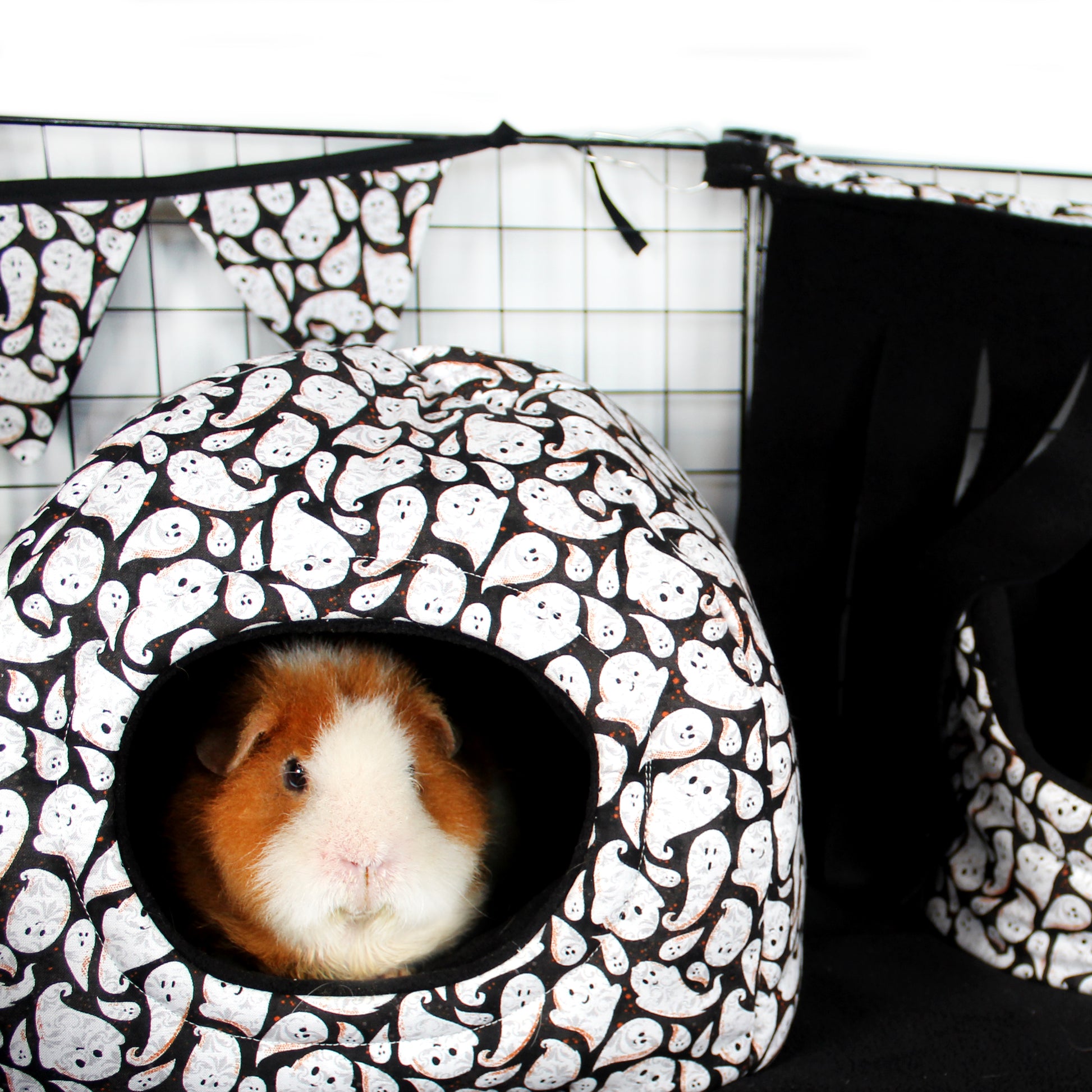 Ghost Halloween Hidey House, Happy guinea inside the hideout inside a themed cage