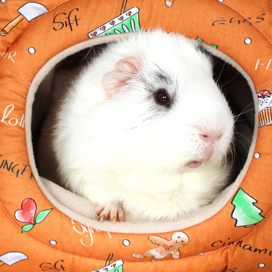 Gingerbread Guinea Pig Hidey Hut, close up view of the opening with guinea pig